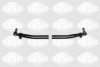 SASIC T721018 Rod Assembly